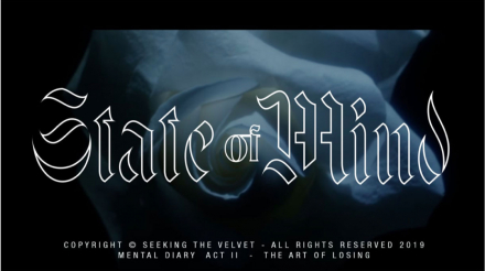 STATE-OF-MINF-COVER-WEB